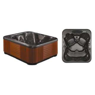 Hot Tub Jacuzzi Spa 4 5 Person Tranquility Series   Free Shipping 