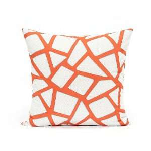  20 X 20 Modern Persimmon Geometric Throw Pillow Cover 