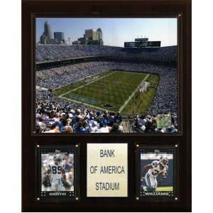  Carolina Panthers Bank of America Stadium 12x15 Plaque 