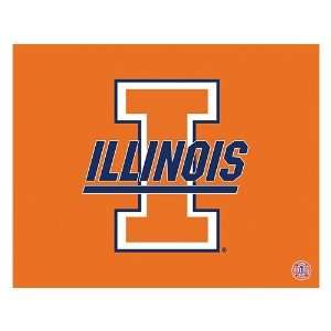    Illinois Fighting Illini Team Logo Canvas Art: Sports & Outdoors