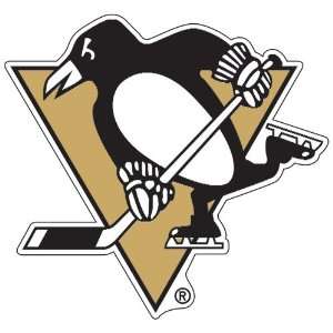   Pittsburgh Penguins Magnet   High Definition *SALE*