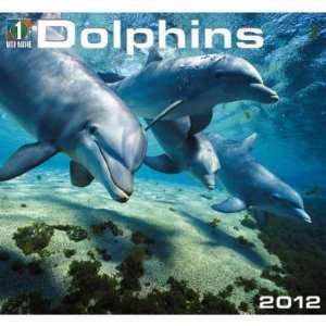  Dolphins 2012 Wall Calendar