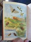 SKETCHES OF BRITISH INSECTS BY HOUGHTON 1875 SOLID WONDERFUL RARE 