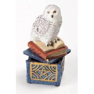  Snow Owl Magical Box: Home & Kitchen