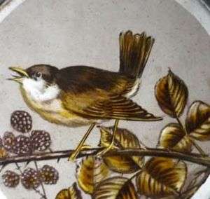 VERY SPECIAL PAINTED BIRD ANTIQUE STAINED GLASS WINDOW  