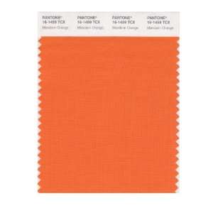   SMART 16 1459X Color Swatch Card, Mandarin Orange: Home Improvement
