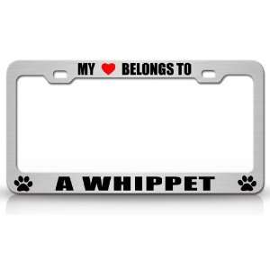 MY HEART BELONGS TO A WHIPPET Dog Pet Steel Metal Auto License Plate 