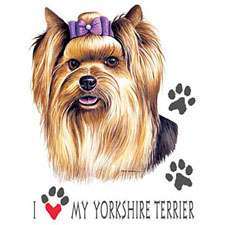 YORKIE yorkshire terrier fabric panel & paws panel  
