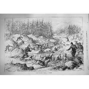 1884 Otter Hunting River Hounds Dogs Trees Mountains:  Home 