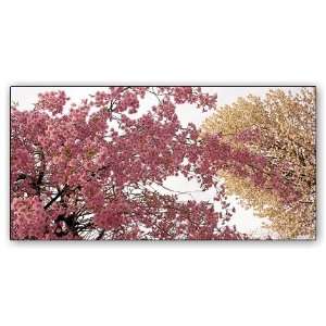   Durastrong Fluorescent light covers: Cherry Tree: Home Improvement