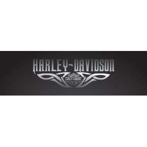  Vantage Point Harley Davidson Window Graphics: Sports 