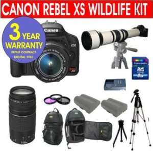 with Canon EF S 18 55mm IS Lens + Canon 75 300mm Telephoto Zoom Lens 