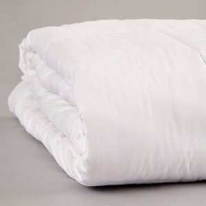  Luxury Silk Filled Comforter   Crib Size (White) (35L x 