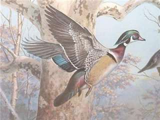   Smith 1st of State PA Duck Stamp Print   Wood Ducks Signed   