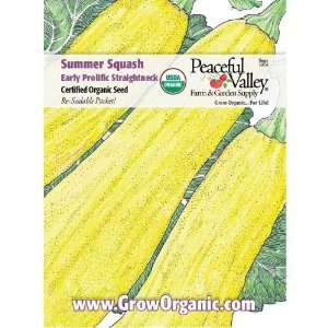  Organic Summer Squash Seed Pack, Early Prolific 