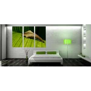   with 3 panels green leaf decoration Canvas photo 