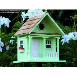    Birds of a Feather Series Key Lime Cottage