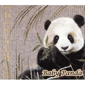  Brand New Baby Panda Chinese Handwriting: Office Products