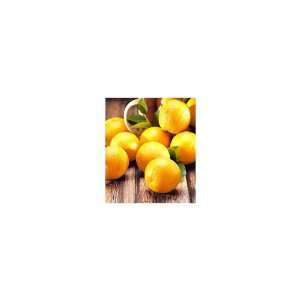 Organic Oranges Grocery & Gourmet Food