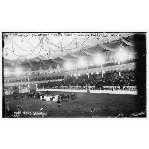  Madison Square Garden,Horse Show,judging roadsters