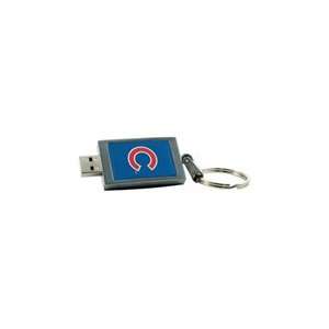   2GB DataStick Keychain Chicago Cubs USB 2.0 Flash Drive Electronics