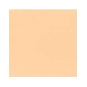   Cardstock   Grasscloth Texture   Peach Glow (25 Pack) 