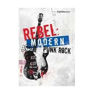  Rebel Modern Punk Rock Musical Instruments