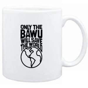    Only the Bawu will save the world  Instruments