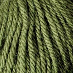  Valley Yarns Amherst [olive] Arts, Crafts & Sewing