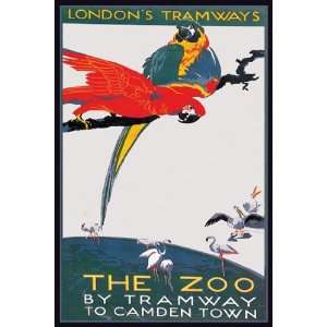   : London Zoo: The Macaw   Poster by Van Jones (12x18): Home & Kitchen