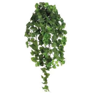 31 Natural Hedera Ivy Bush Vine X10 Green (Pack of 4 