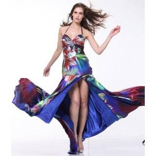    #1631 Print Satin One Shoulder High Low Prom Dress: Clothing