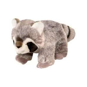  Wild Republic Cuddlekins Baby Raccoon 8: Toys & Games