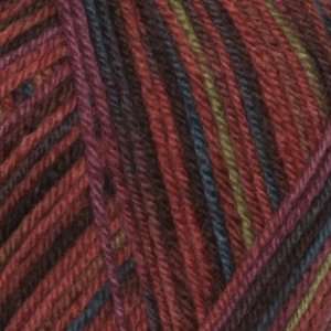   Ply Sock Yarn (4258) Mirage Fire By The Each Arts, Crafts & Sewing