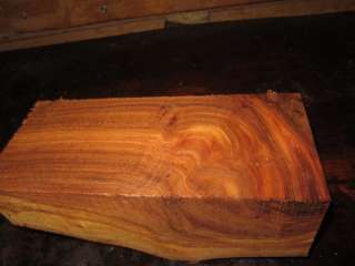 spalted ambrosia maple red elm turning bowl vase blanks wood  