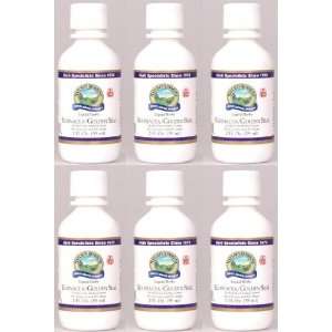   Supports Immune System Alcohol Free Herbal Extract 2 fl.oz (Pack of 6