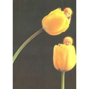 Anne Geddes Framed 1995 #605 016 Baby Yellow Tulips 8x10