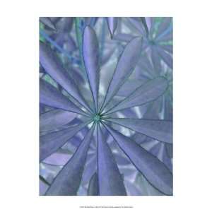  Woodland Plants in Blue II   Poster by Sharon Chandler 