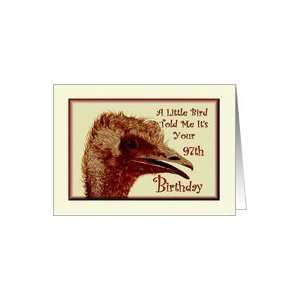  Birthday / 97th / Ostrich /Humorous Card Toys & Games