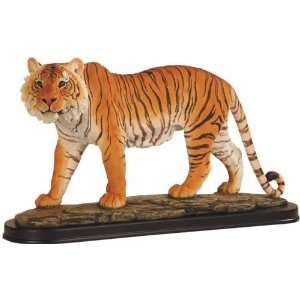  Orange and White Bengal Tiger Prowling on Desert Grounds 