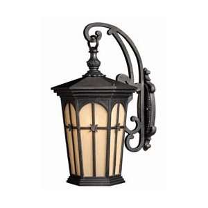  (DS) Warwick Patina Black Outdoor Large Wall Light: Home 