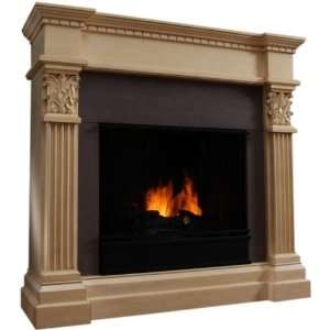  Gabrielle Indoor Fireplace by Real Flame by Jensen