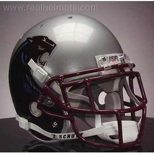    MICHIGAN PANTHERS 1984 Football Helmet Decals: Sports & Outdoors
