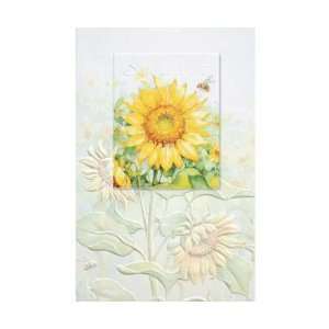   Field Bday   Everyday Greeting Cards. Pack of 6 