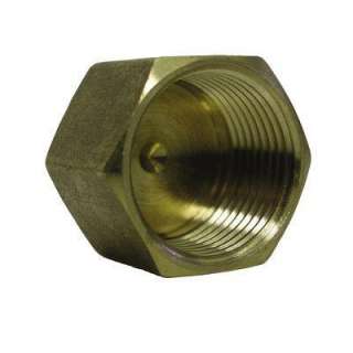 Watts 1/2 In. Brass Pipe Cap A 819 at The Home Depot 