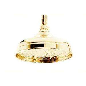   Can Style Showerhead in Polished Brass S1110803PBV 