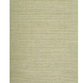   10 in Green Grasscloth Wallpaper Sample WC1284584S 