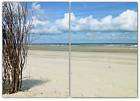 Bild Fine Art Kunstdruck Nordsee Insel Meer Strandkorb Strandbild 60 x 