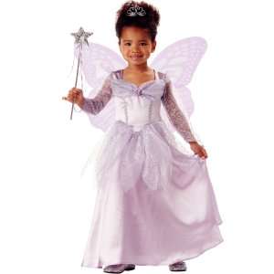 Butterfly Princess Toddler / Child Costume, 33876 