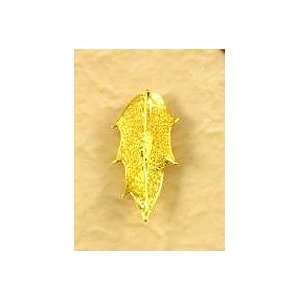  REAL LEAF Pointed Oak Bar Pin Brooch Gold Jewelry